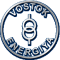 Vostok Energy